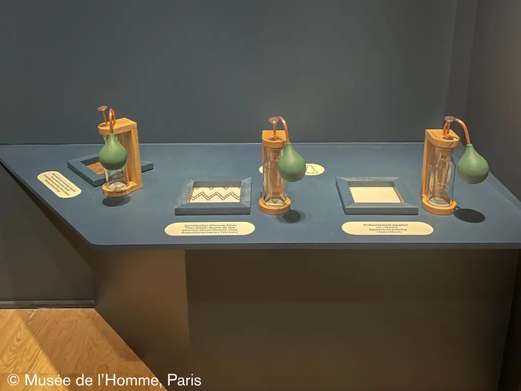 Distributeur olfactif au Musée de l'Homme de Paris (3).webp