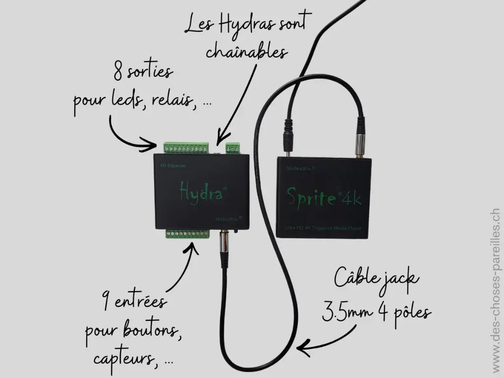 Carte d'extension I_O Hydra pour Lecteur multimédia 4k Sprite - Description.webp